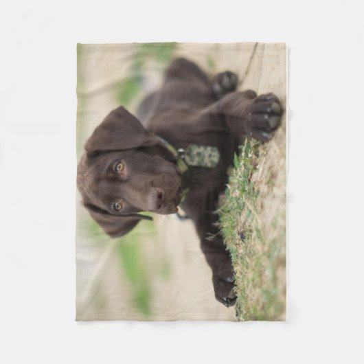 チョコレート実験室の子犬 フリースブランケット (正面)