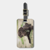 チョコレート実験室の子犬 ラゲッジタグ (正面縦)
