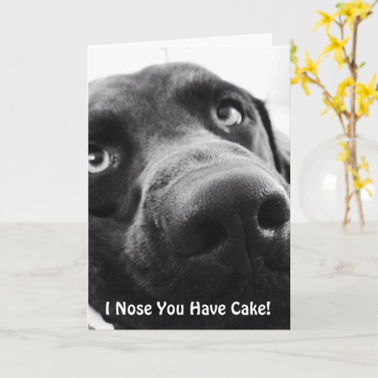 チョコレート実験室の誕生日の挨拶状 カード (黄色い花)