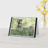 チョコレート実験室カード カード (黄色い花)