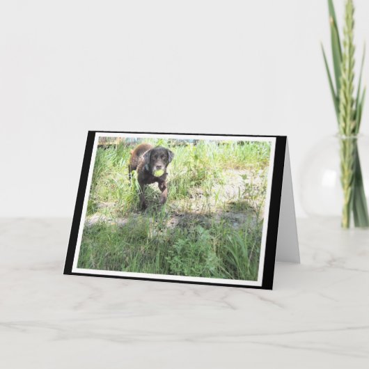 チョコレート実験室カード カード (正面)