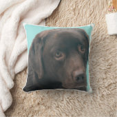 チョコレート実験室犬の枕 クッション (ブランケット)