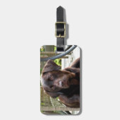 チョコレート実験室 ラゲッジタグ (正面縦)