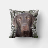 チョコレート研究所 クッション (裏面)