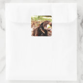 チョコレート遊ラブラドールとボール スクエアシール (バッグ)