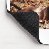 チョコレート遊ラブラドールとボール マウスパッド (コーナー)