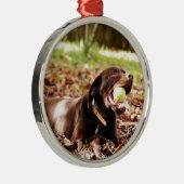 チョコレート遊ラブラドールとボール メタルオーナメント (右)