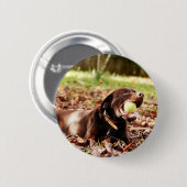 チョコレート遊ラブラドールとボール 缶バッジ (正面&裏面)