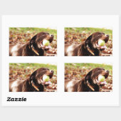 チョコレート遊ラブラドールとボール 長方形シール (シート)