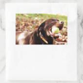 チョコレート遊ラブラドールとボール 長方形シール (バッグ)