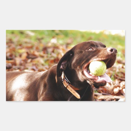 チョコレート遊ラブラドールとボール 長方形シール (正面)