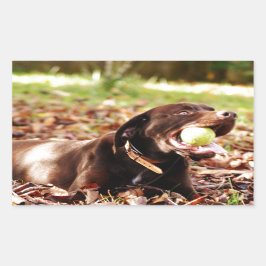 チョコレート遊ラブラドールとボール 長方形シール