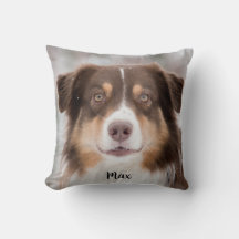 チョコレート・オーストラリア・シェパード・パピー・ドッグ