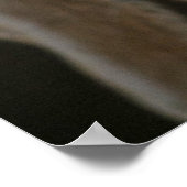 チョコレート・ラボ・アイズ・ポスター ポスター (角)