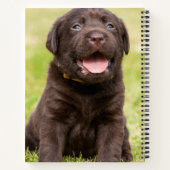 チョコレート・ラボ・パッピー ノートブック (裏面)