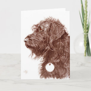 チョコレートLabradoodleの挨拶状 カード