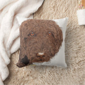 チョコレートLabradoodle クッション (ブランケット)