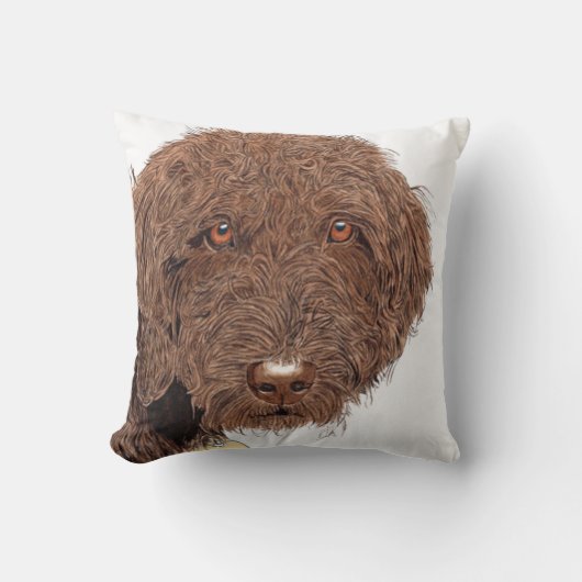 チョコレートLabradoodle クッション (正面)
