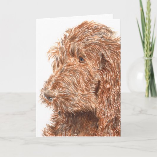 チョコレートLabradoodle #2の挨拶状 カード (正面)