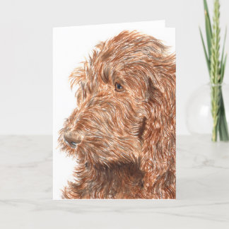 チョコレートLabradoodle #2の挨拶状 カード
