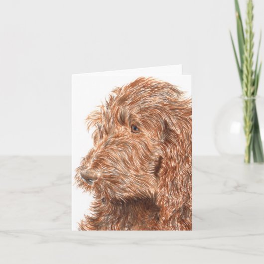 チョコレートLabradoodle #2 Notecard カード (正面)