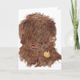 チョコレートLabradoodle Xenaの挨拶状 カード