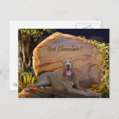 チョコ得レート・デーン？ ポストカード (正面/裏面)