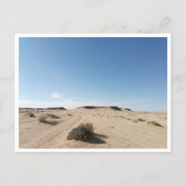 チョット・エル・ガルサ（チュニジア） ポストカード