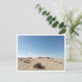 チョット・エル・ガルサ(チュニジア) ポストカード (スタンド正面)