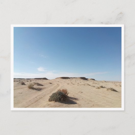 チョット・エル・ガルサ(チュニジア) ポストカード (正面)