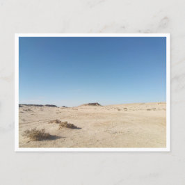 チョット・エル・ガルサ（チュニジア） ポストカード