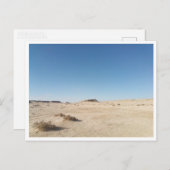 チョット・エル・ガルサ(チュニジア) ポストカード (正面/裏面)