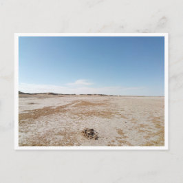 チョット・エル・ガルサ（チュニジア） ポストカード