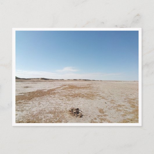 チョット・エル・ガルサ（チュニジア） ポストカード (正面)