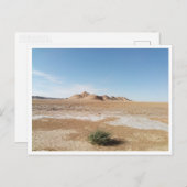 チョット・エル・ガルサ(チュニジア) ポストカード (正面/裏面)