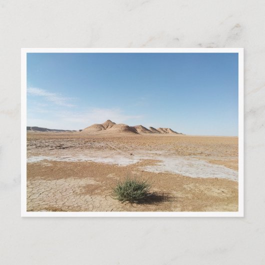 チョット・エル・ガルサ(チュニジア) ポストカード (正面)