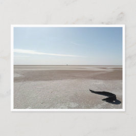 チョット・エル・ジェリド（チュニジア） ポストカード