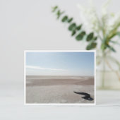 チョット・エル・ジェリド（チュニジア） ポストカード (スタンド正面)