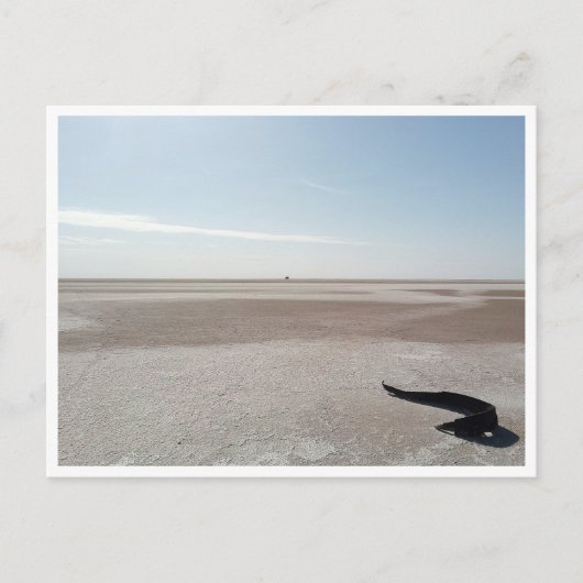 チョット・エル・ジェリド（チュニジア） ポストカード (正面)