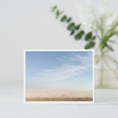 チョット・エル・ジェリド（チュニジア） ポストカード (スタンド正面)