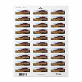 チョッラサボス迷信マウンテンアリゾナ ラベル (フルシート)