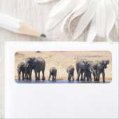 チョベゾウ差出人住所ラベル ラベル (インサイチュ)