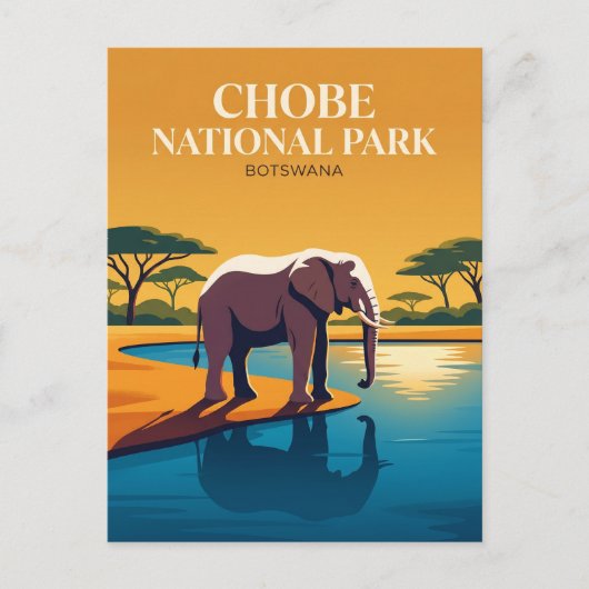 チョベ国立公園 ボツワナ ポストカード (正面)