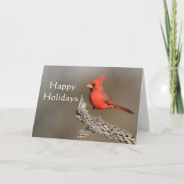 チョラの肋骨に止まるカーディナル、ハッピーホリデー シーズンカード