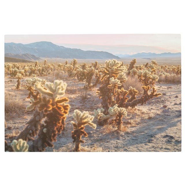 チョラカッティ メタルプリント (正面)