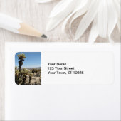 チョラガーデンジョシュアツリー ラベル (インサイチュ)