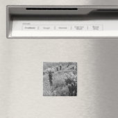 チョラサボテン砂漠の冷凍機磁石をジャンプ マグネット (インサイチュ (食洗機))