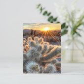 チョラスサボスサンライズ ポストカード (スタンド正面)