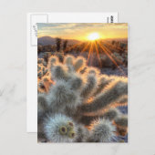 チョラスサボスサンライズ ポストカード (正面/裏面)