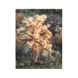 チョラ白熱［赤熱］光を放つ メタルプリント